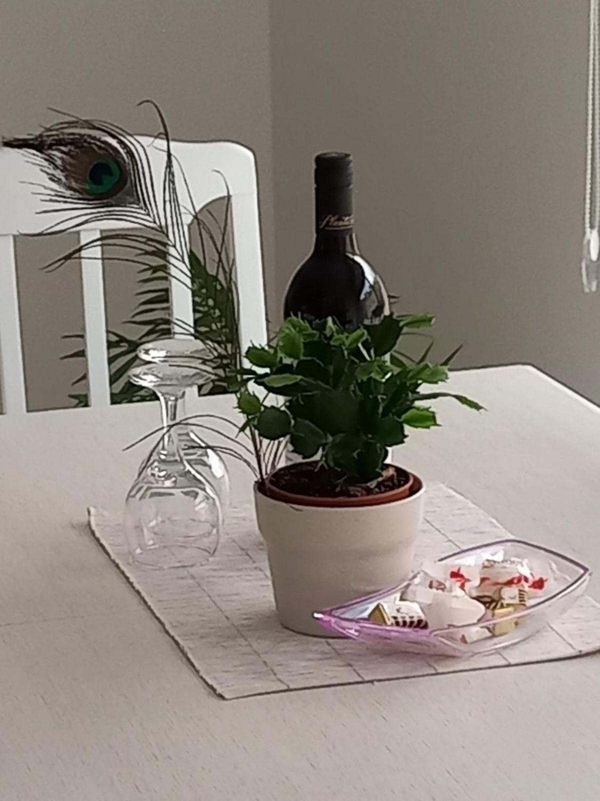 Apartments Alisa Котор Экстерьер фото